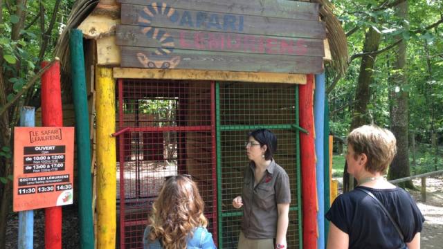 Safari Des Lémuriens Zoo Cerza Lisieux