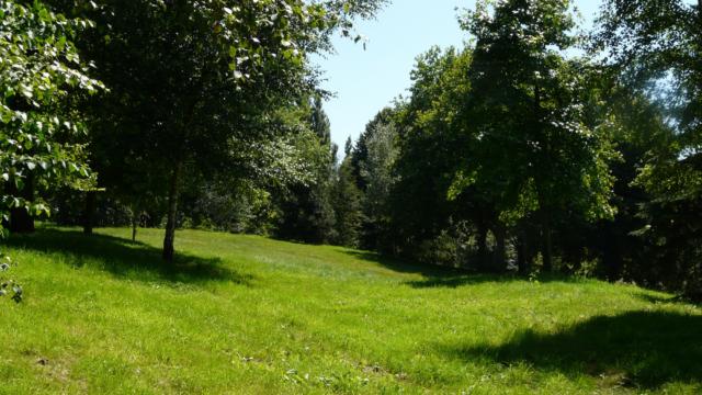 Arboretum De Lisieux (1)