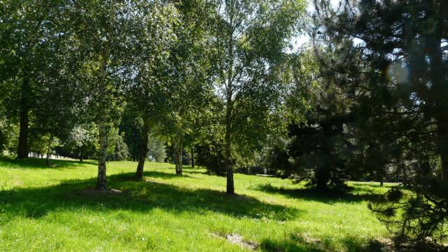 Arboretum De Lisieux (4)