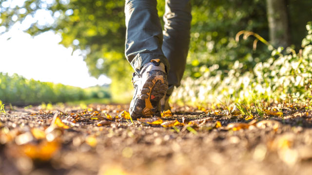 Randonnées dans une nature préservée