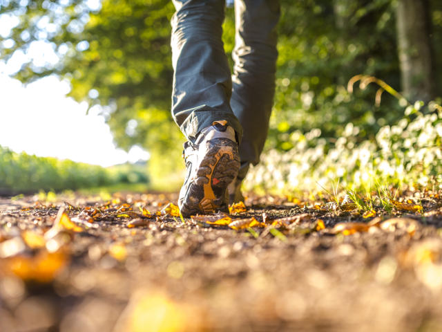 Closeup of male legs hiking in nature.