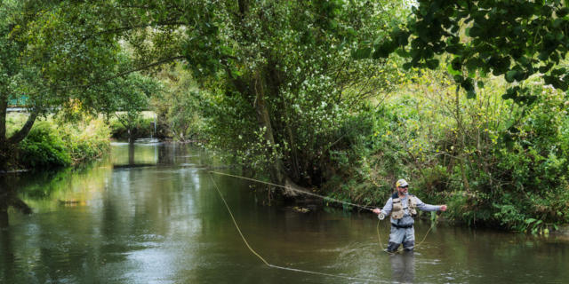 Pêche Dans La Touques ©Julien Boisard