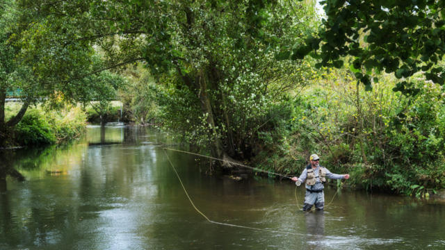 Pêche Dans La Touques ©Julien Boisard