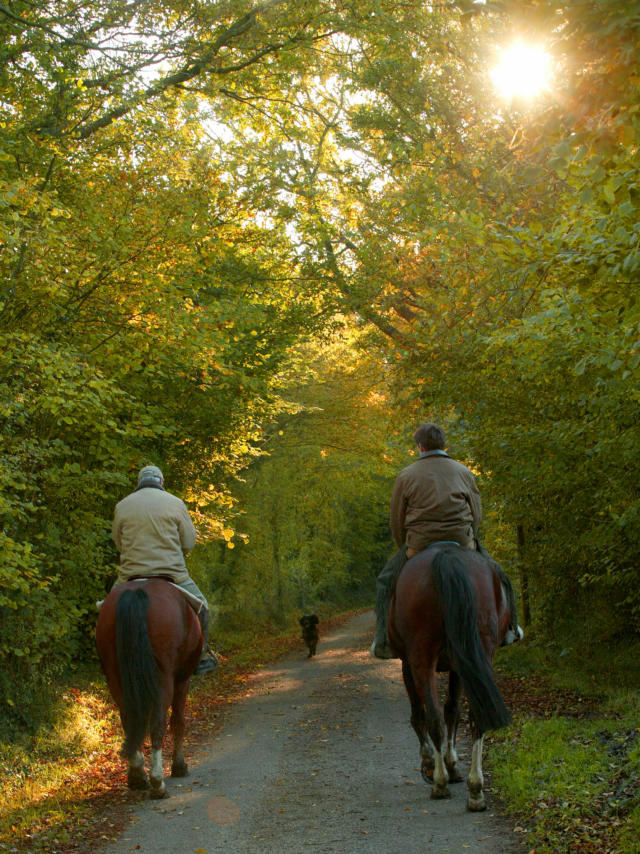 Randonnee A Cheval Gregory Wait Calvados Attractivite(1)