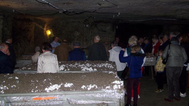 La Champignonnière D'orbec Ambiance Sous Terre