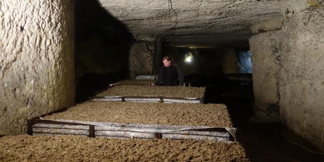 La Champignonnière D'orbec Anciènne Carrière De Craie