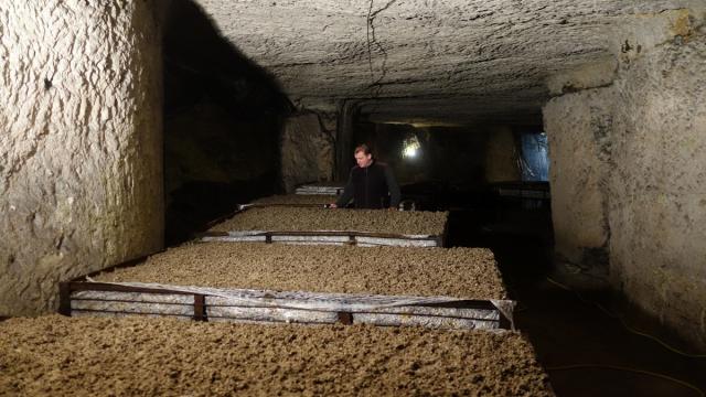 La Champignonnière D'orbec Anciènne Carrière De Craie