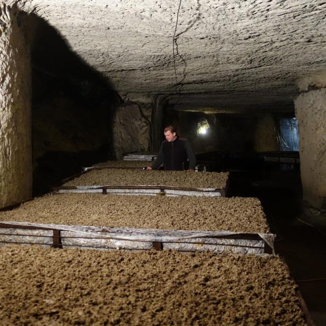 La Champignonnière D'orbec Anciènne Carrière De Craie