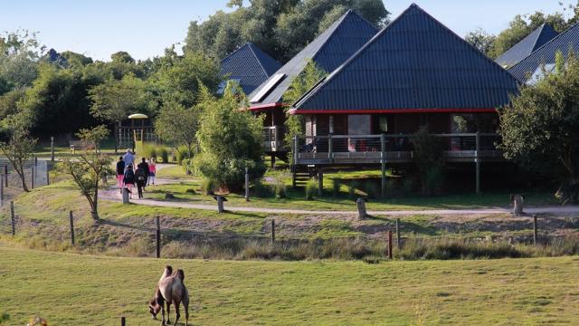 Cerza Safari Lodges