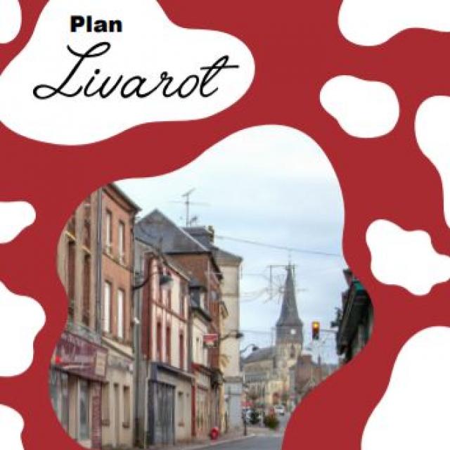 Plan De Livarot