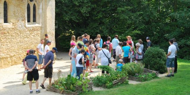 Visite Théâtralisée Groupe Chateau De Crèvecoeur