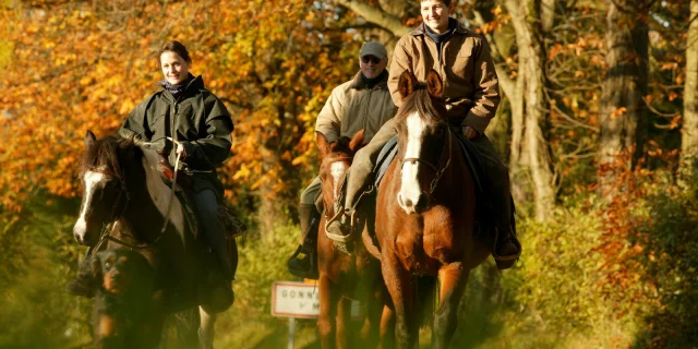 Randonnee A Cheval Gregory Wait Calvados Attractivite