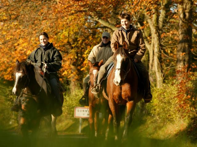 Randonnee A Cheval Gregory Wait Calvados Attractivite