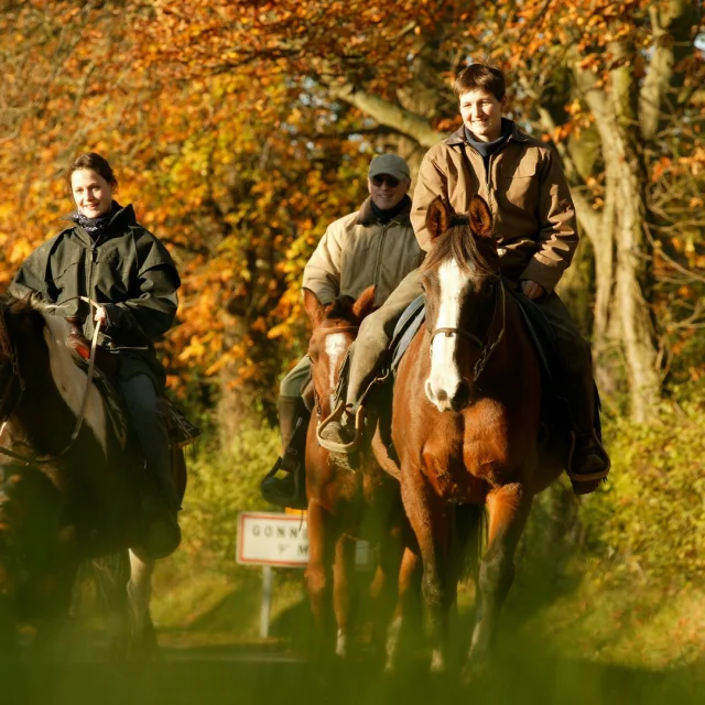 Randonnee A Cheval Gregory Wait Calvados Attractivite