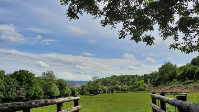 Vue sur la campagne à Ouilly le Vicomte