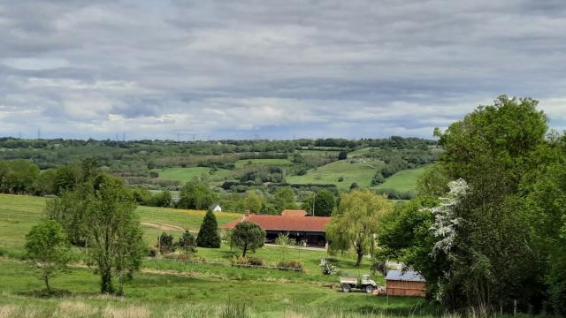 Vue sur le campagne Normande à Ouilly le Vicomte