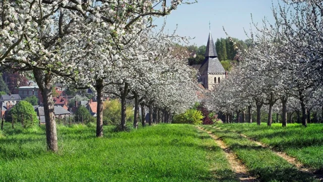 Cambremer Circuit Decouverte De La Ville