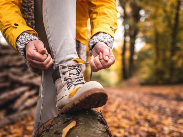 Woman tying shoelace on her hiking boot. Tourist is getting ready for autumn hike at woodland trekking trail