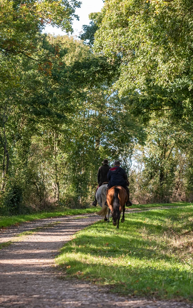 Randonneurs à Cheval 5@thomaslefloc'h 1