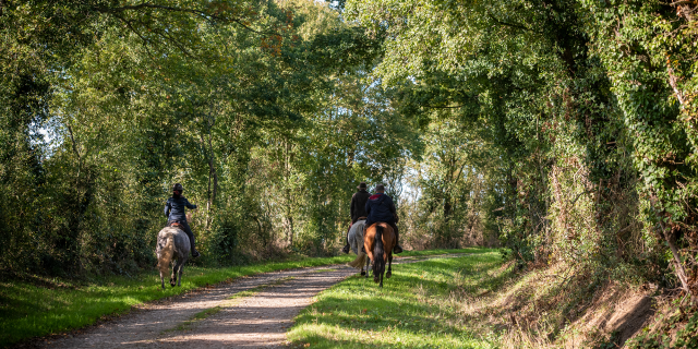 Randonneurs à Cheval 5@thomaslefloc'h 1