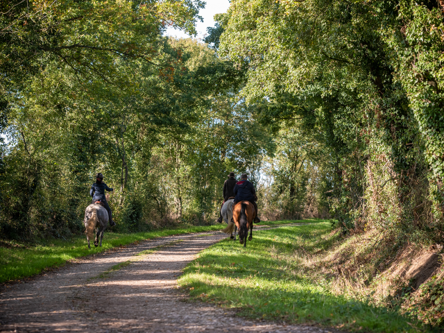 Randonneurs à Cheval 5@thomaslefloc'h 1