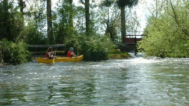 Canoe Dives