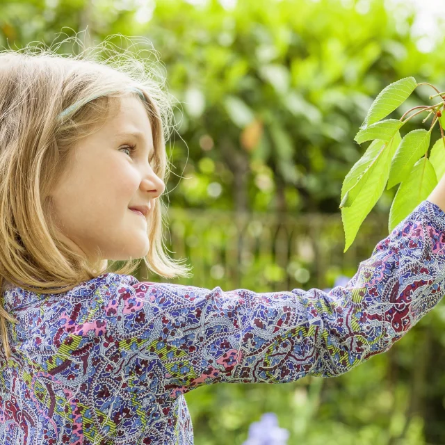 girl and cherry tree with summer sun in background